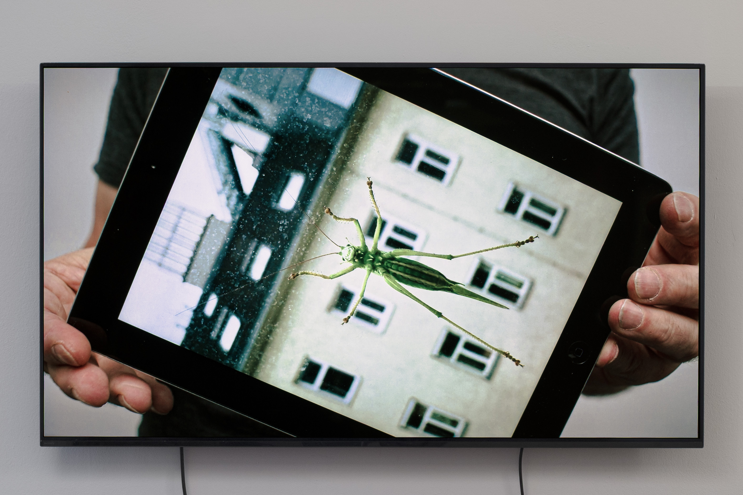 Drehfehler Ve.Sch Kunstverein Wien